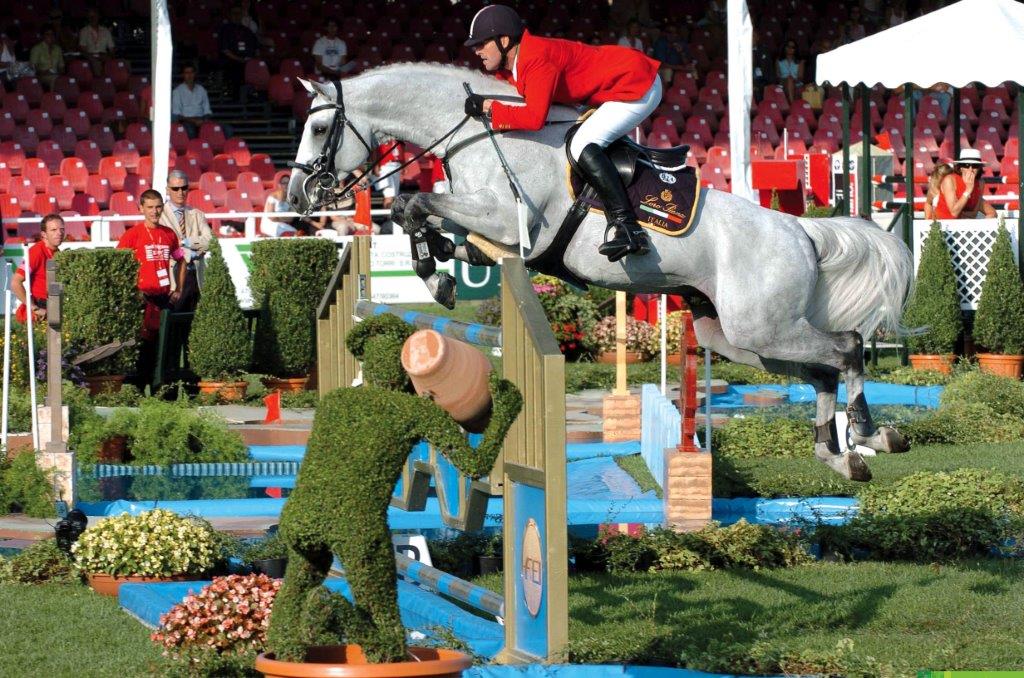 nadir loro piana.jpg - Stalloni di Allevamento Biancospino Cavalli Sportivi